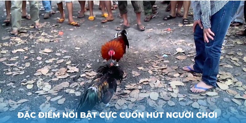 Đặc điểm nổi bật cực cuốn hút người chơi