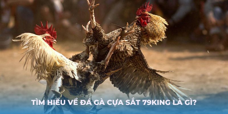 Tìm hiểu về Đá gà cựa sắt 79King là gì?